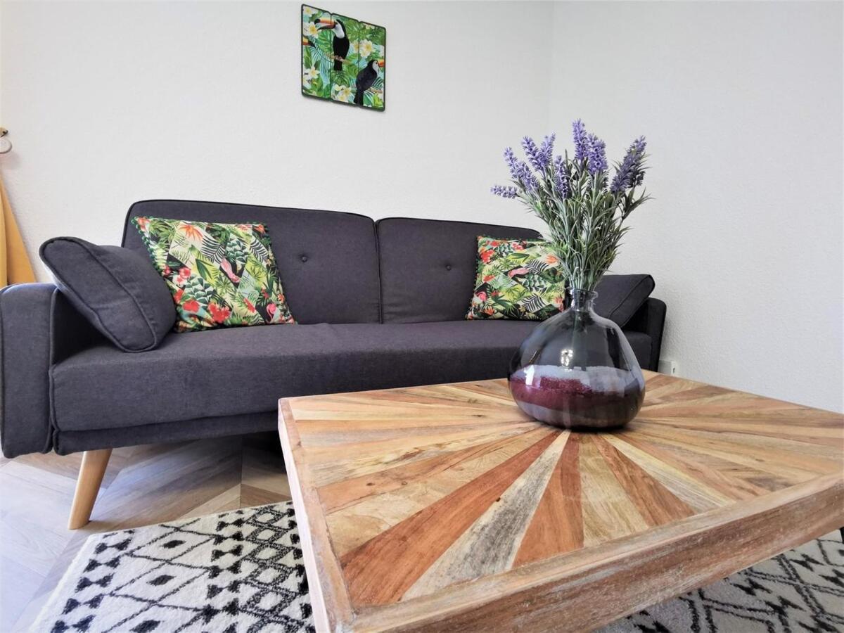 T2 Cosy ₪ Residence Securise ₪ Airbus ₪ Piscine Colomiers Exteriör bild